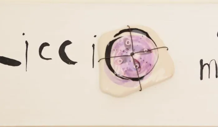 ベッド・アンド・ブレックファスト ジュジュレナ 4*